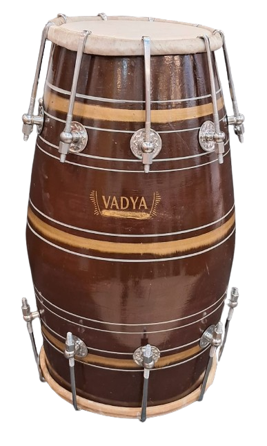 Dholak concert model