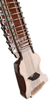 Dilruba Concert Model