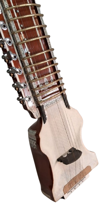 Dilruba Concert Model