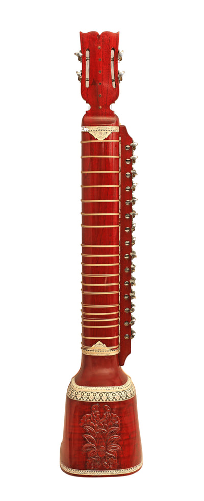 Dilruba Concert Premium Model